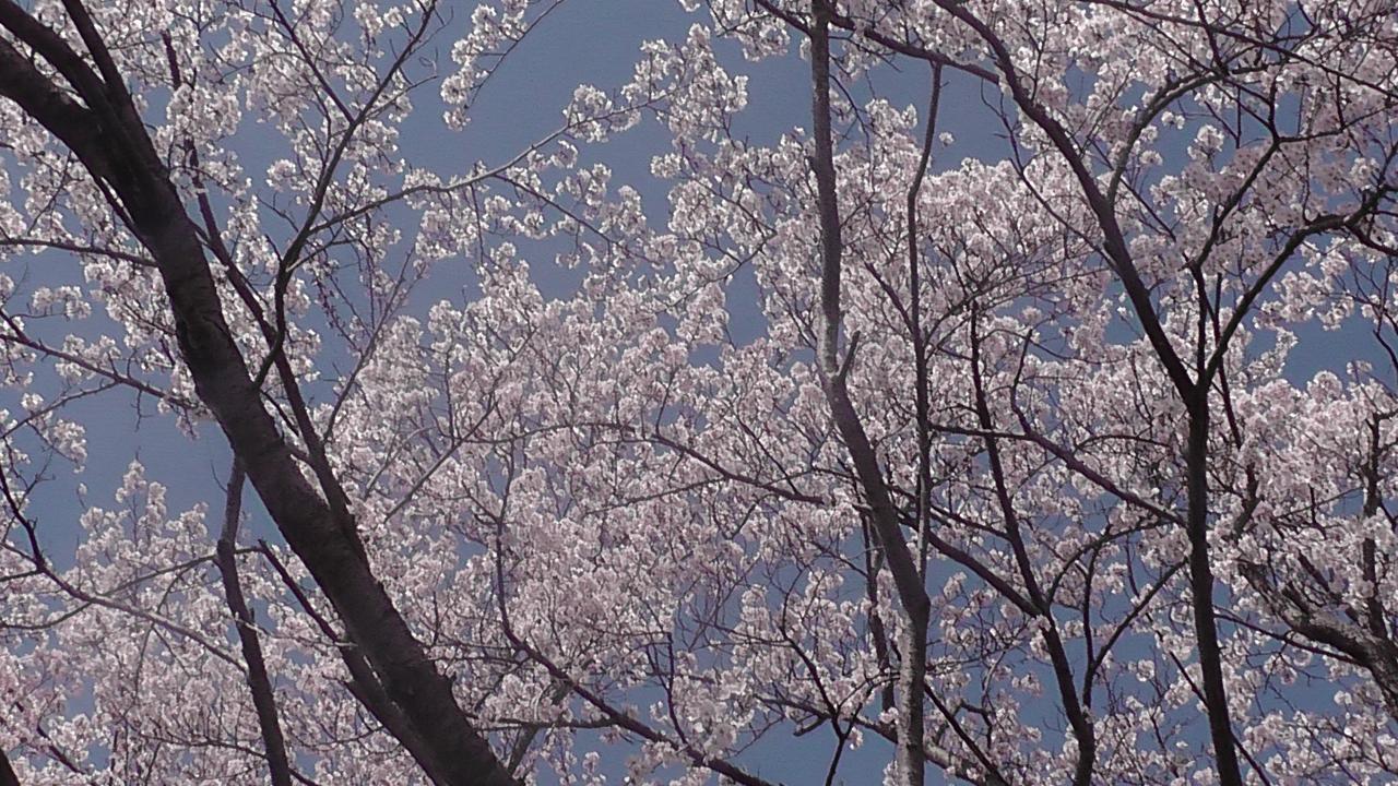 Nikkoen Hotell Nishiwaki Eksteriør bilde